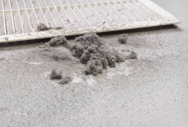 Best Air Duct Cleaning Near Me  in Electra, TX