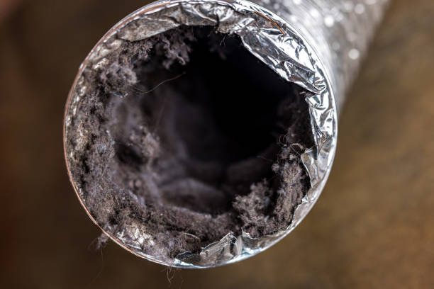 Best Affordable HVAC Duct Cleaning  in Electra, TX