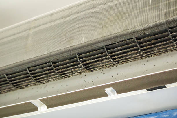 Best HVAC Maintenance and Cleaning  in Electra, TX